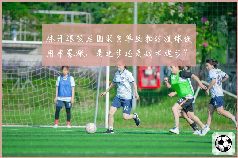 林丹退役后国羽男单反拍过渡球使用率暴涨,是进步还是战术退步?